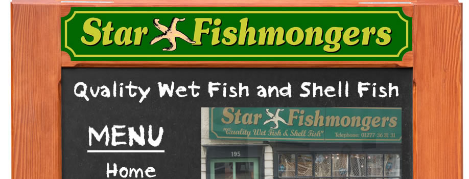 star-fish